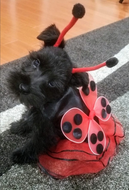 Molly