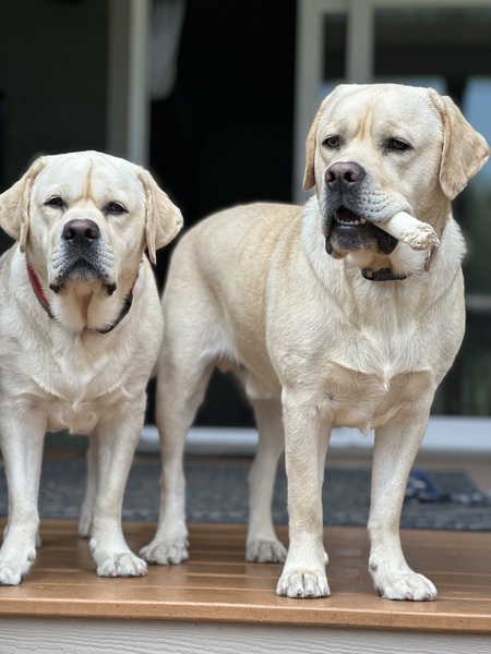 Otto and Jake