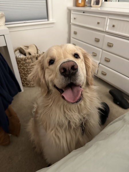 Gunnar