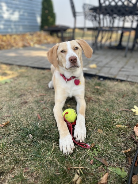 Baxter