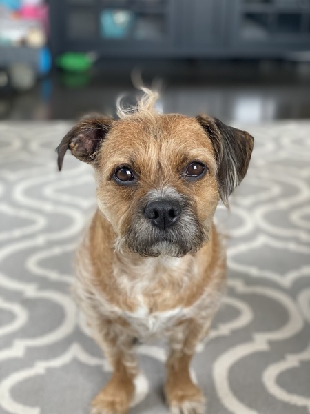 Nala