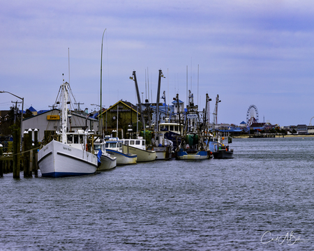Ocean City Dock