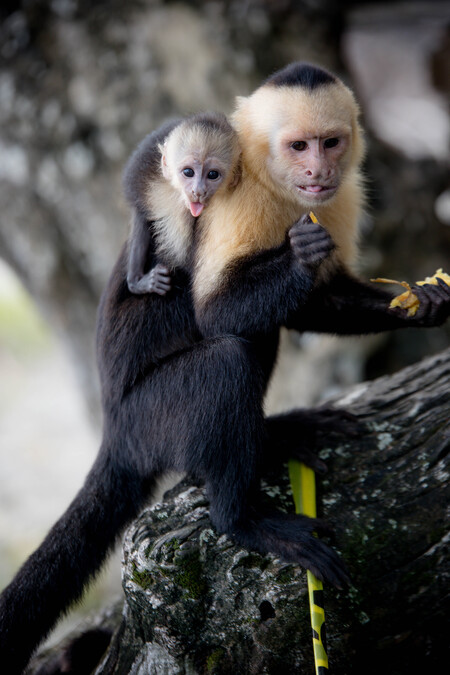 Mommy and Me in Costa Rica