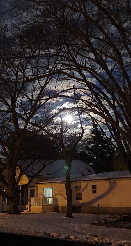 Silver Lining