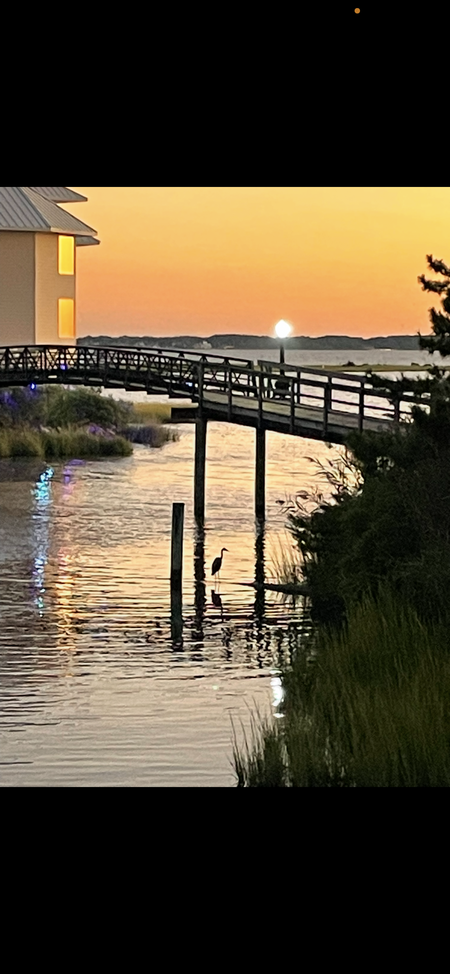 Evening Tranquility 