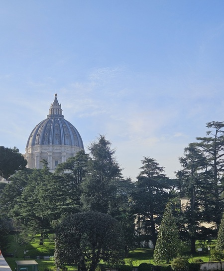 Dome of St. Peter's  Vatican City, Italy