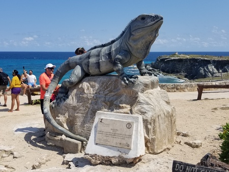 Punta Sur Iguana, Isla Mujeres,  Mexico