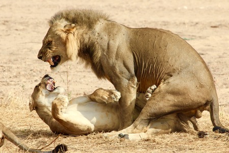 Male dominance in Tanzania