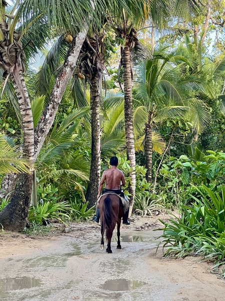 Panamanian jungle horse and local fisherman - Bocas del Toro, Panama (full permission by fisherman)