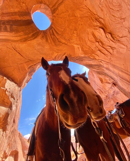 Monument Valley Mustang Muse