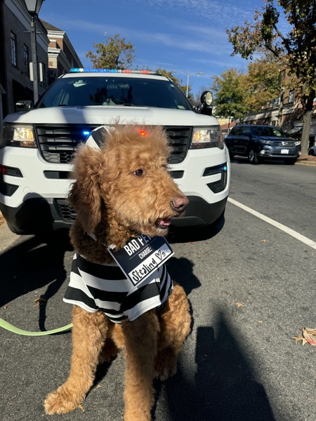Sabre (Guilty on all charges)