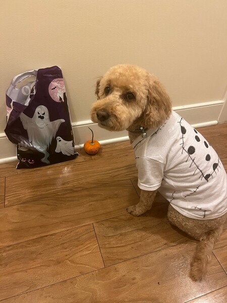 Genevieve (Sparky from Frankenweenie)