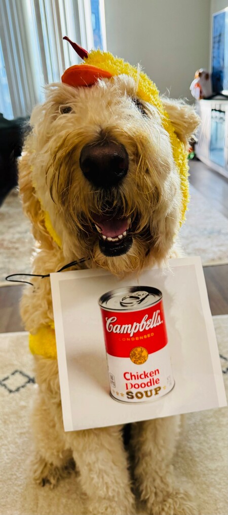 Cayman (Chicken Doodle Soup)