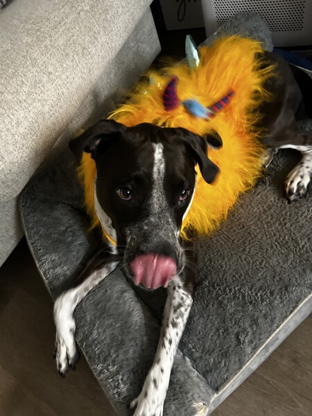 Benny ( Manic Monster)
