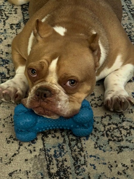 Tater Tot