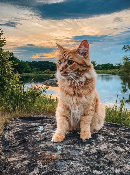 Milo