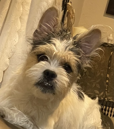 Teddy Jack Eddy