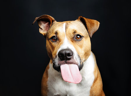 Buster