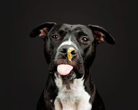 Otto