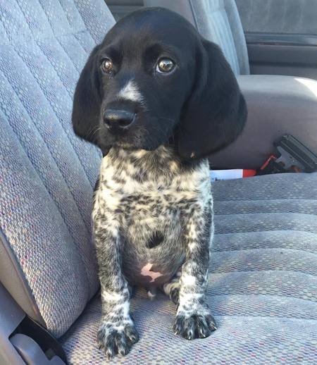 Nemo
