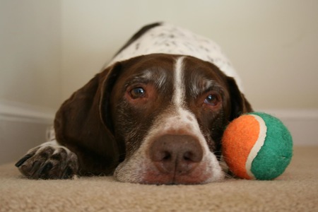 Otto