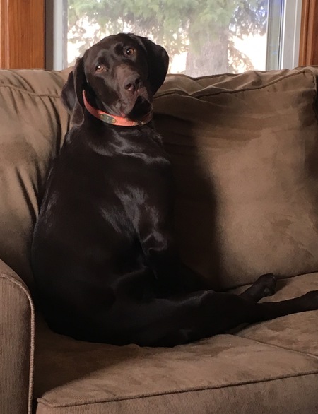Heidi