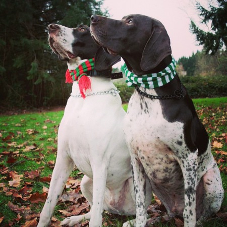 Jake and Ruger 