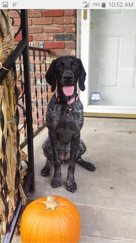 Pepper