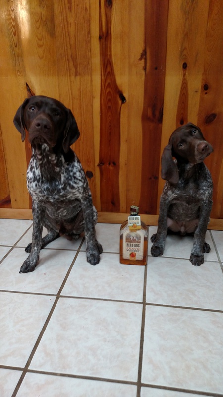 Ryder&Rocky