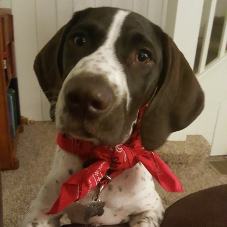 Murphy