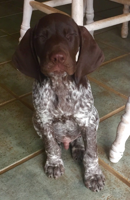 "Hank"