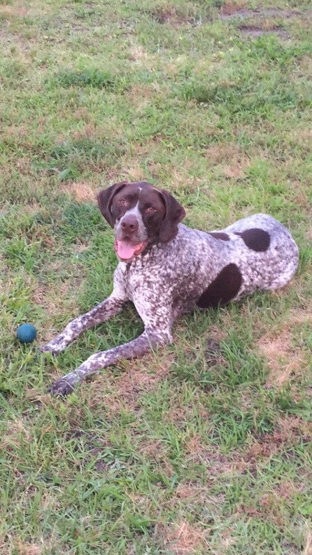 Tucker