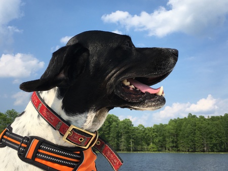 Max