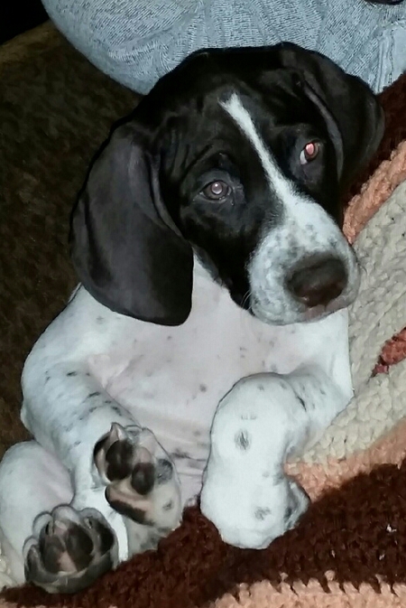 Reilly