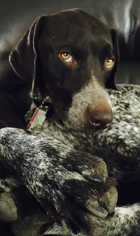 Gus 
