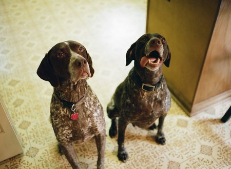 Otto and Leo