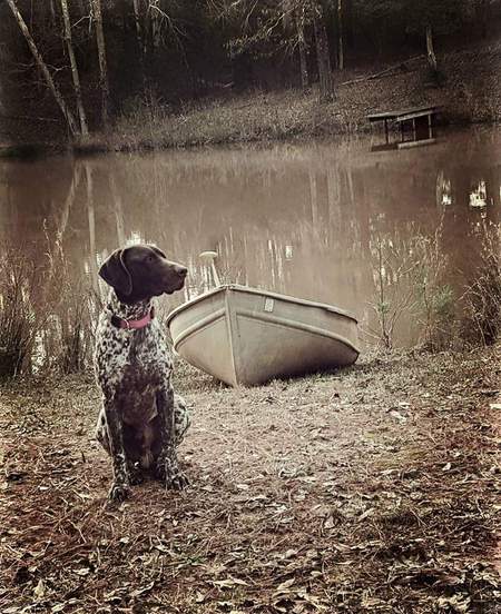 Jasper Drake