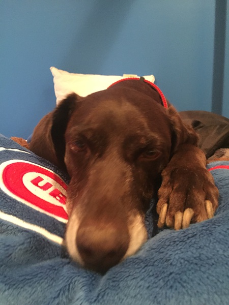 Wrigley