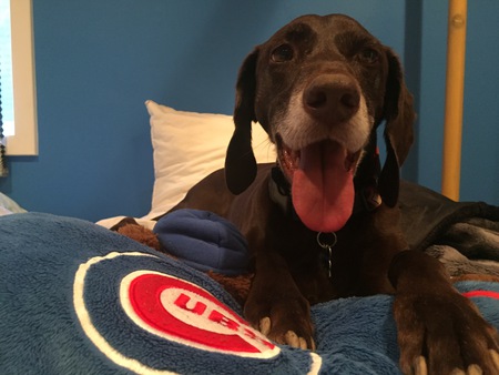 Wrigley