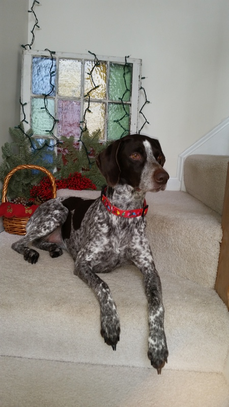 Gracie
