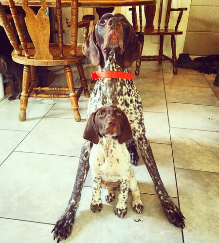 Titan and Rhea