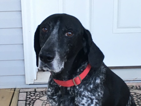 Jack