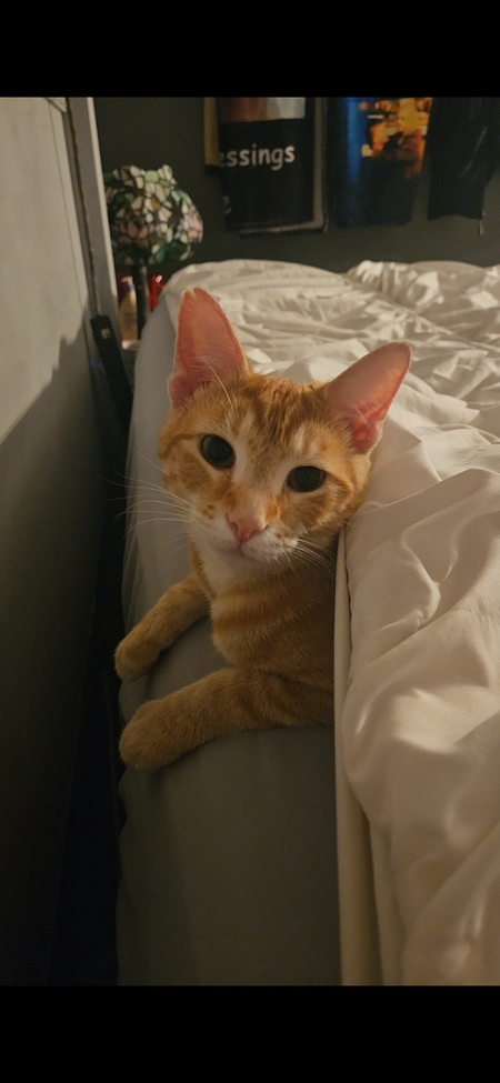 Sammy 