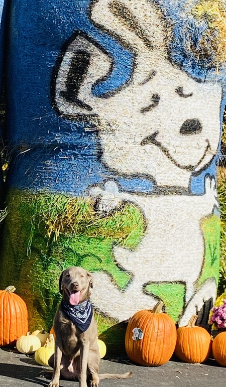 Jake