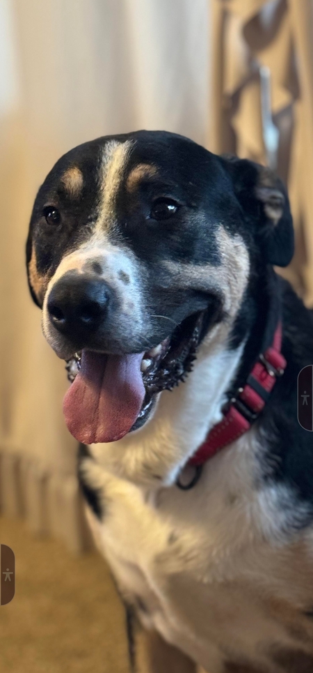 Axle