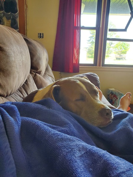 Rosie