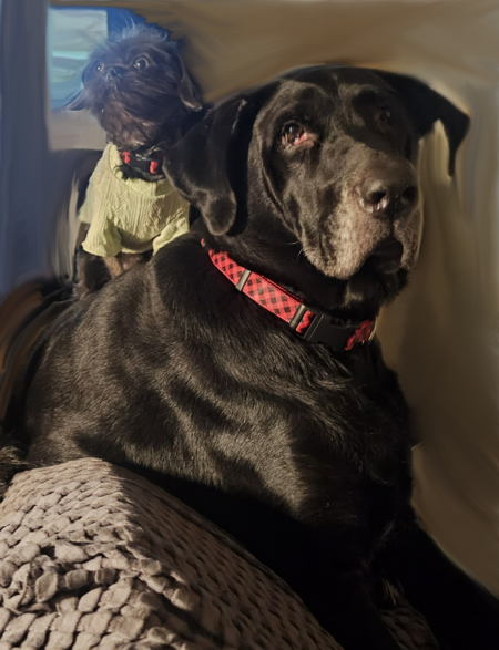 Wicket and Samael 