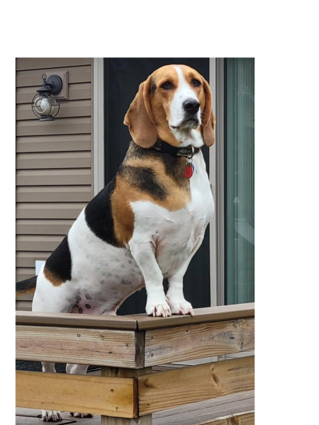 Charlie