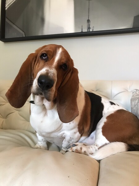 Wally