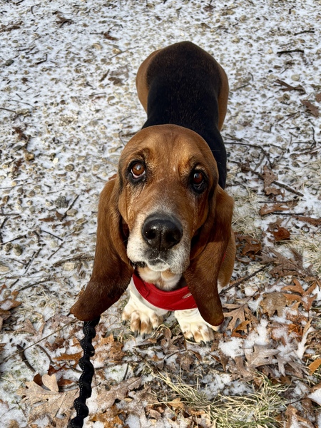 Reggie